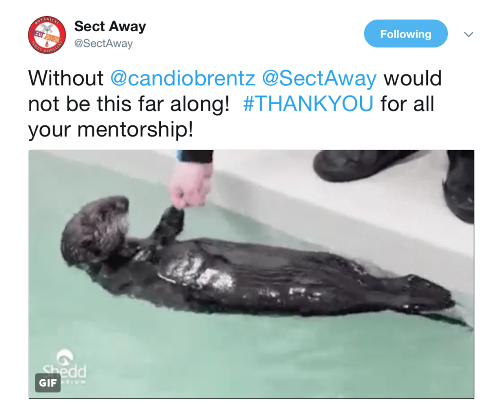 The joy of an endorsement! Customized advisory services to bring your